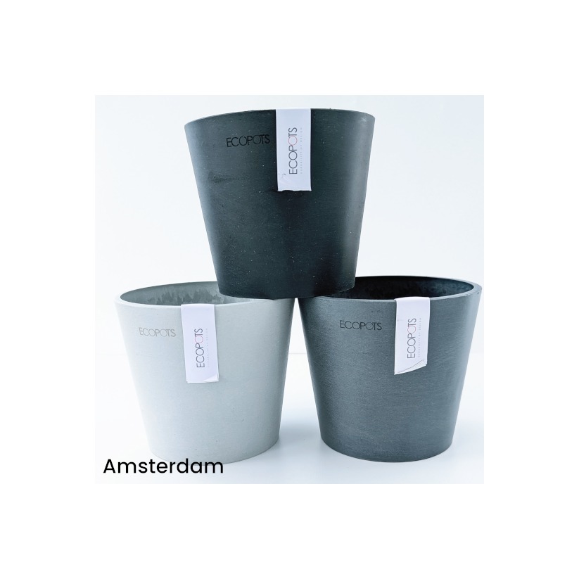 Zenith and Amsterdam Ecopot