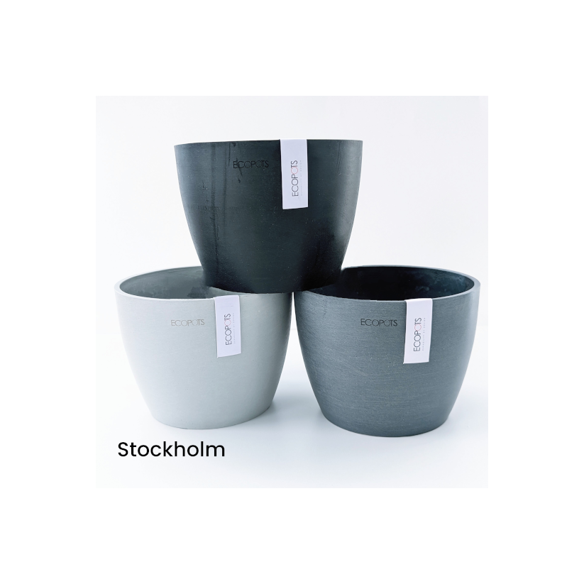 Zenith and Stockholm Ecopot