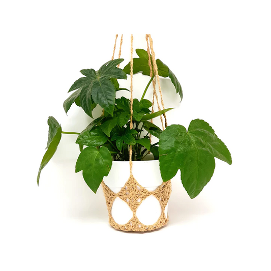 Zenith and Stockholm Ecopot